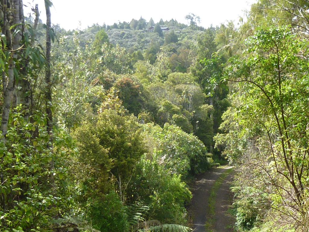 Вилла Fern Ridge Hideaway Victoria Valley Экстерьер фото
