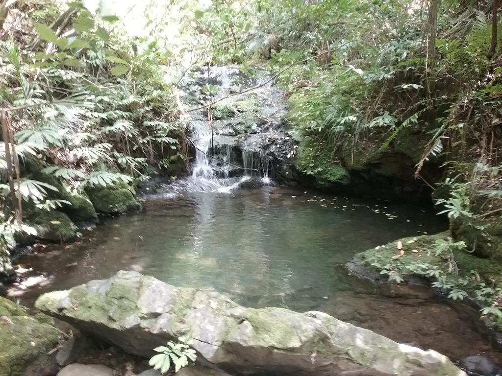 Вилла Fern Ridge Hideaway Victoria Valley Экстерьер фото