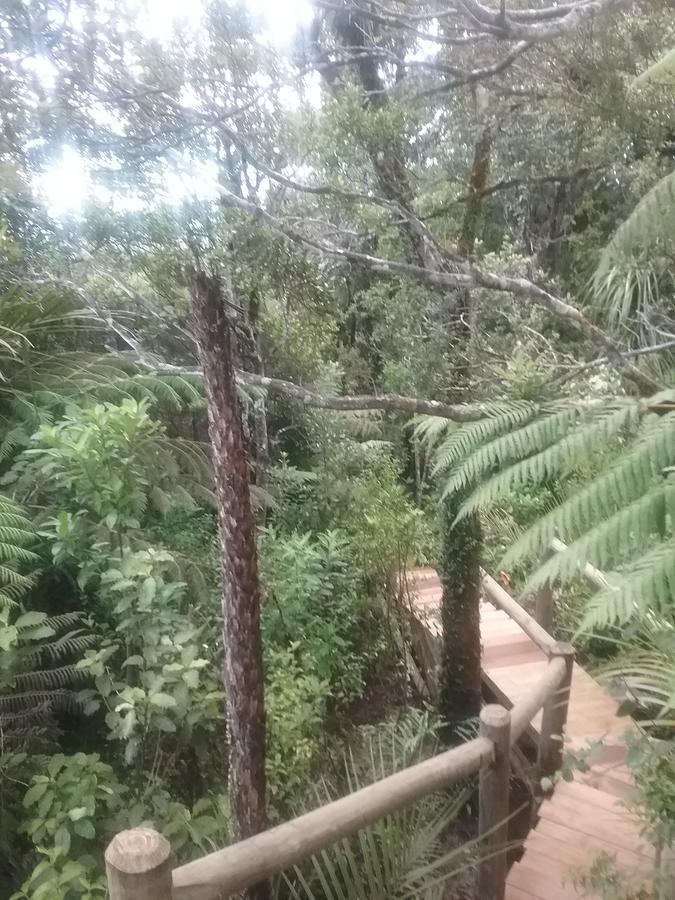 Вилла Fern Ridge Hideaway Victoria Valley Экстерьер фото